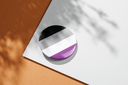 Przypinka flaga - asexual