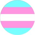 Przypinka flaga - transsexual