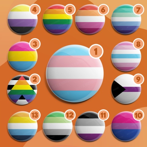 Przypinka Flaga LGBTQ+ Przypinka Flaga LGBTQ+